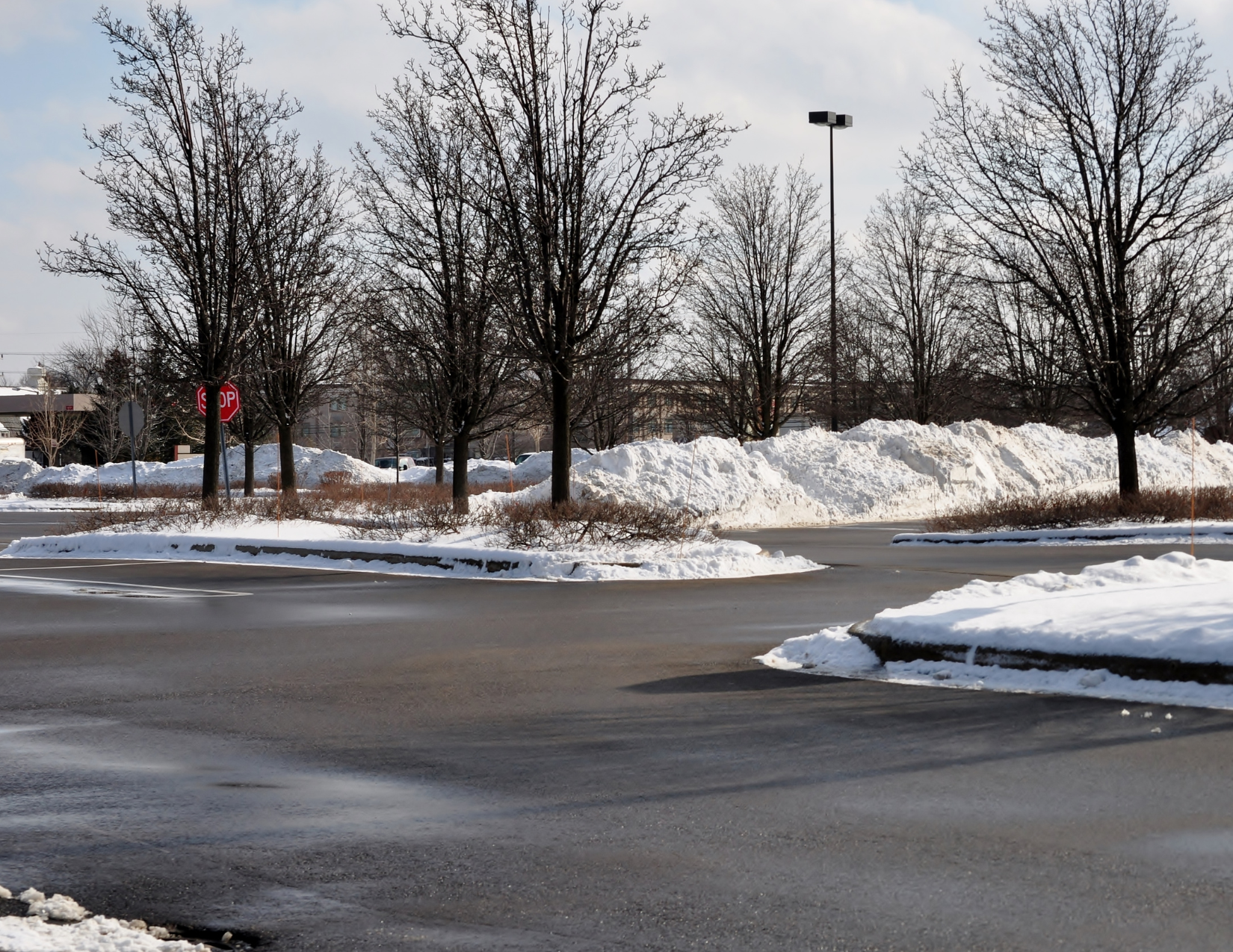 Snow Removal Mastery: Winter-Ready Pavements and Expert Tips