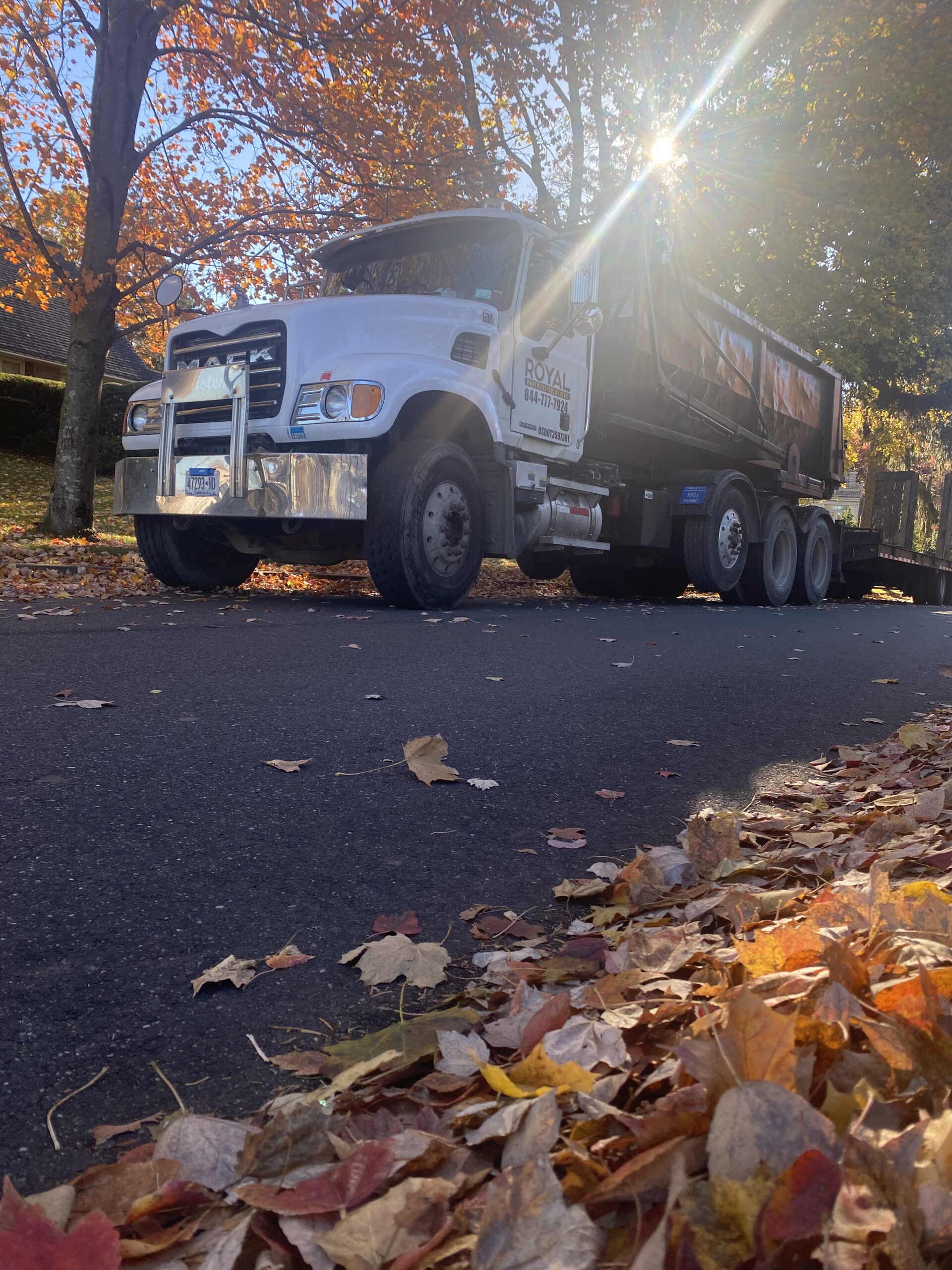 Paving the Green Way: The Environmental Benefits of Permeable Pavement Solutions